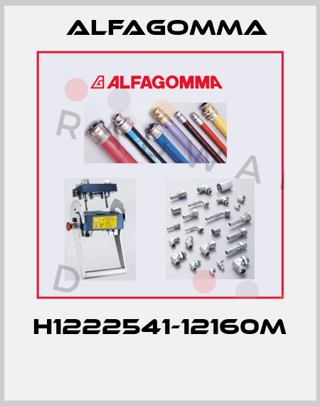 H1222541-12160M  Alfagomma