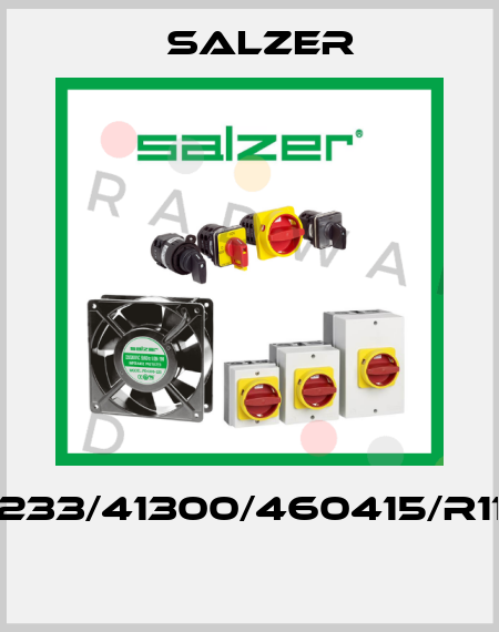 H233/41300/460415/R113  Salzer
