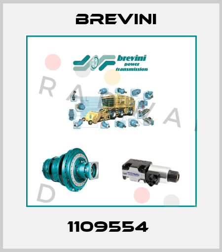1109554  Brevini