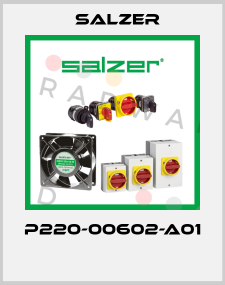 P220-00602-A01  Salzer