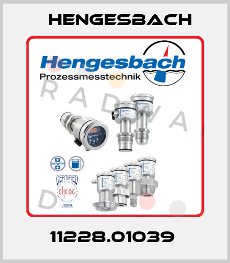 11228.01039  Hengesbach