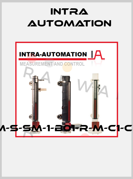 IBF-26-ID2612/2,9MM-S-SM-1-B01-R-M-C1-C-KI-HL-T0-0-A03-A66  Intra Automation