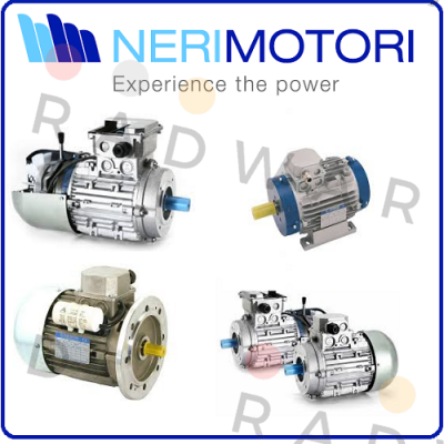 IEC CLF IP55 B5 (200/24)  Neri Motori