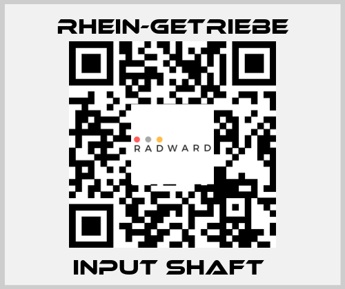 INPUT SHAFT  Rhein-Getriebe