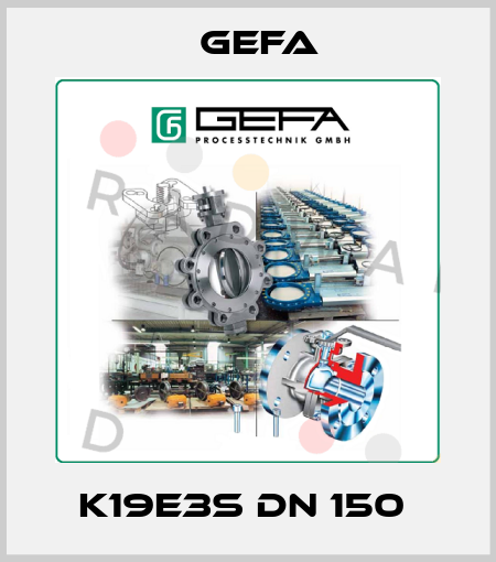K19E3S DN 150  Gefa
