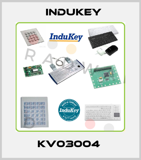 KV03004  InduKey