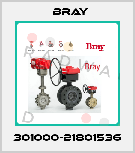 301000-21801536 Bray