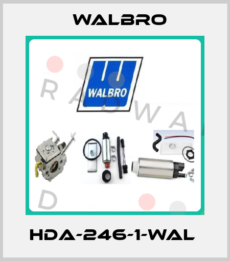 HDA-246-1-WAL  Walbro