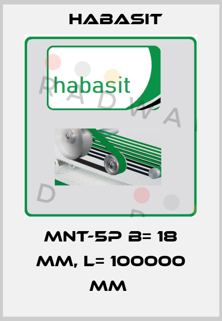 MNT-5P B= 18 mm, L= 100000 mm  Habasit