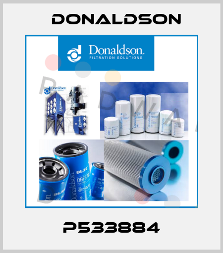 P533884 Donaldson