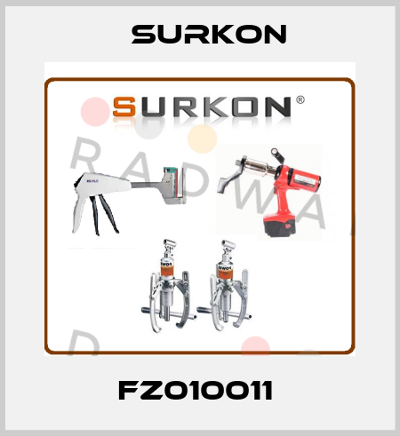 FZ010011  Surkon