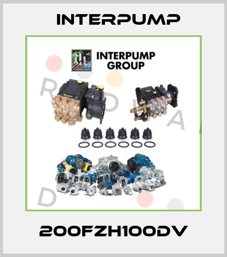200FZH100DV Interpump