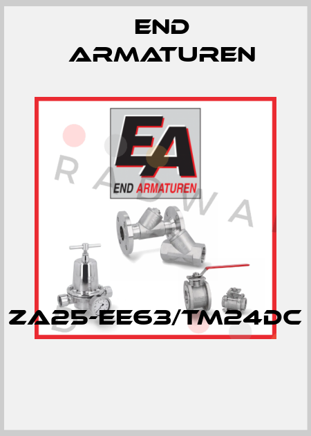 ZA25-EE63/TM24DC  End Armaturen