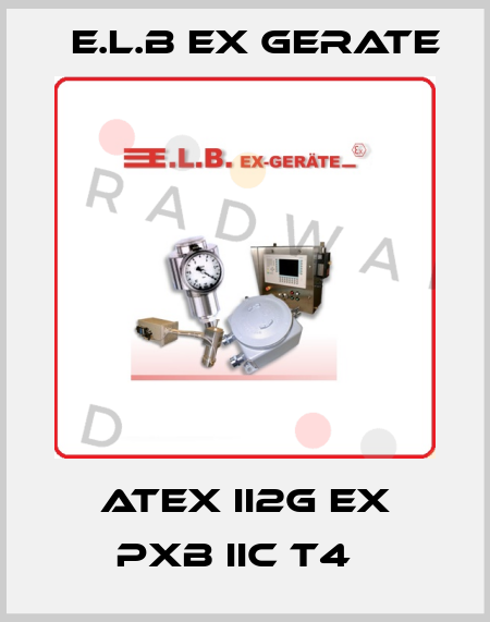 ATEX II2G Ex pxb IIC T4   E.L.B Ex Gerate