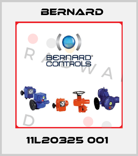 11L20325 001  Bernard