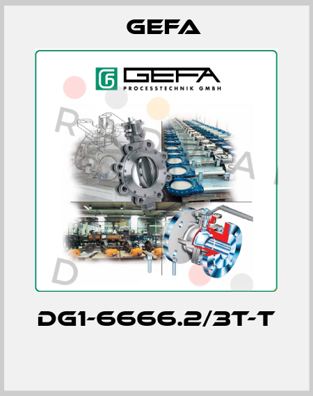 DG1-6666.2/3T-T  Gefa