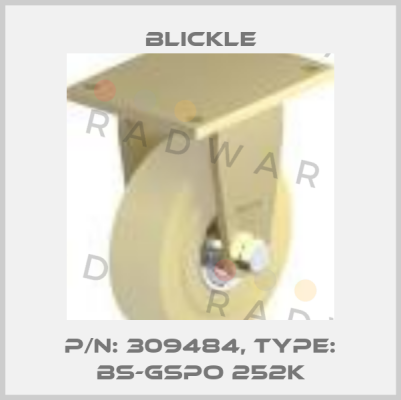 P/N: 309484, Type: BS-GSPO 252K Blickle