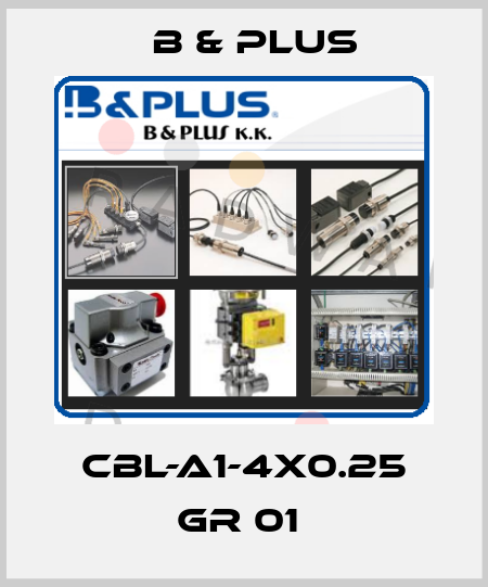 CBL-A1-4X0.25 GR 01  B & PLUS