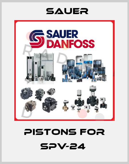 pistons for SPV-24  Sauer