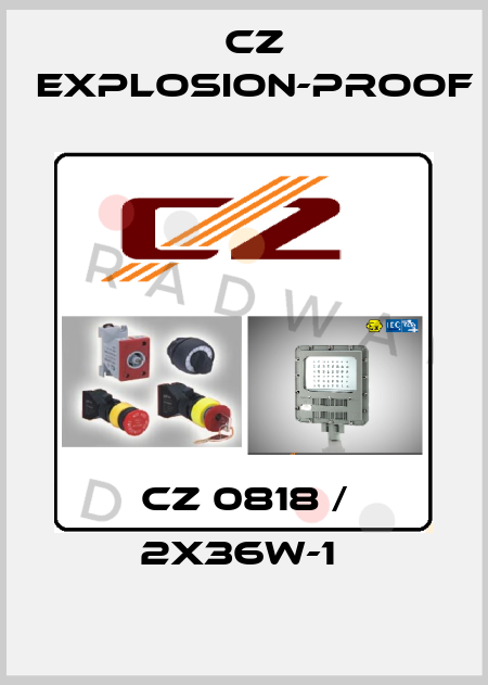 CZ 0818 / 2X36W-1  CZ Explosion-proof