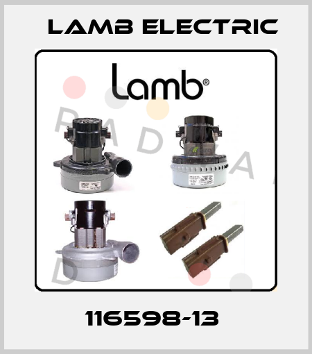 116598-13  Lamb Electric