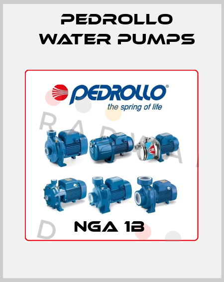 NGA 1B  Pedrollo Water Pumps
