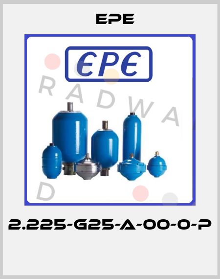 2.225-G25-A-00-0-P  Epe