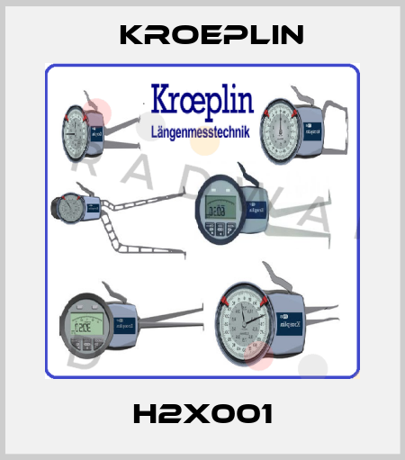H2X001 Kroeplin