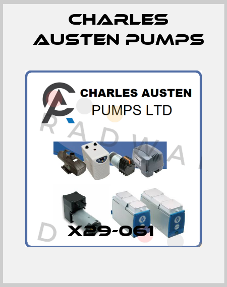 X29-061  Charles Austen Pumps