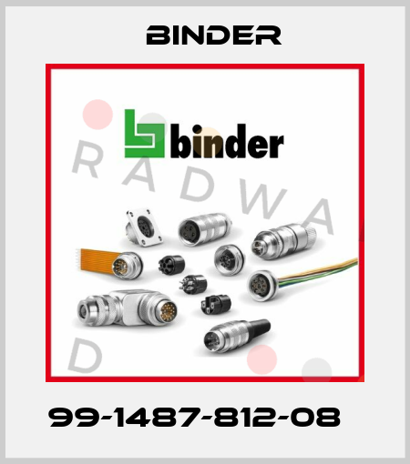 99-1487-812-08   Binder