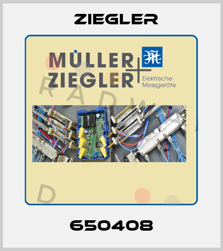 650408 Ziegler