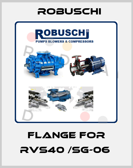 Flange for RVS40 /SG-06  Robuschi