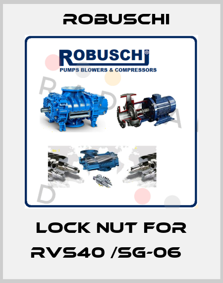 Lock nut for RVS40 /SG-06   Robuschi