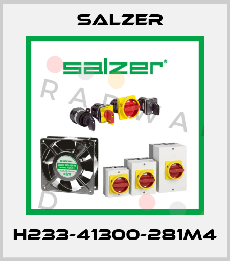 H233-41300-281M4 Salzer