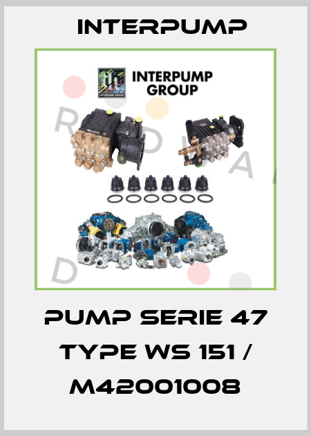 Pump Serie 47 Type WS 151 / M42001008 Interpump