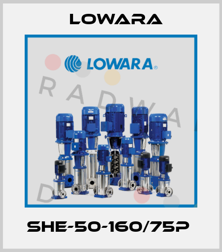 SHE-50-160/75P  Lowara