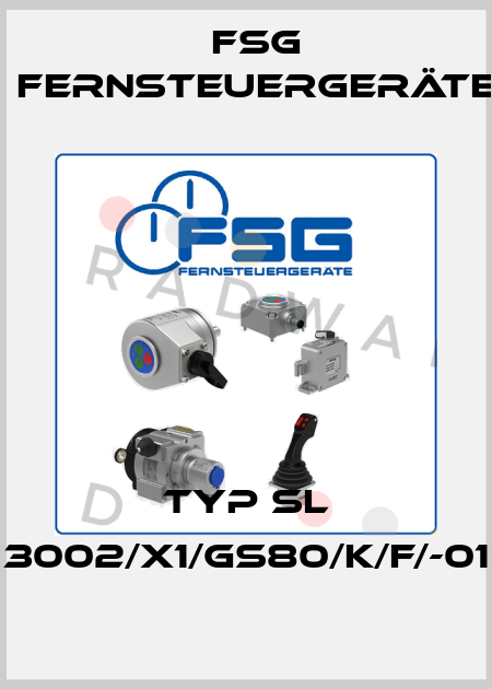 Typ SL 3002/X1/GS80/K/F/-01 FSG Fernsteuergeräte