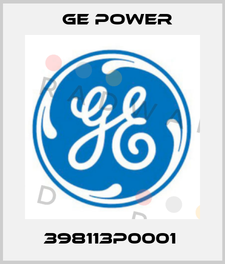 398113P0001  GE Power