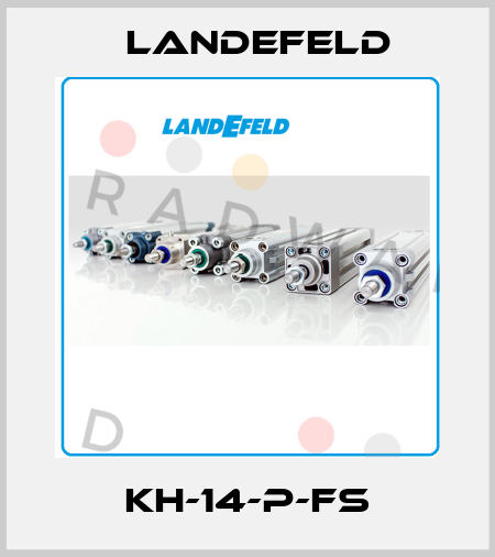 KH-14-P-FS Landefeld