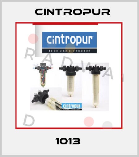 1013  Cintropur