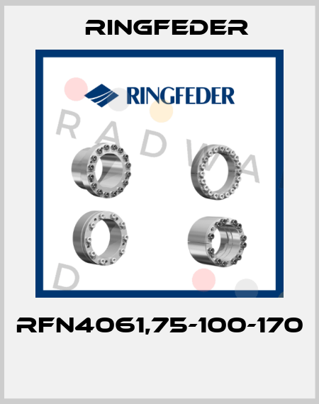 RfN4061,75-100-170  Ringfeder