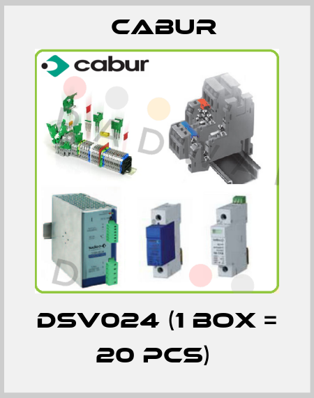 DSV024 (1 box = 20 pcs)  Cabur