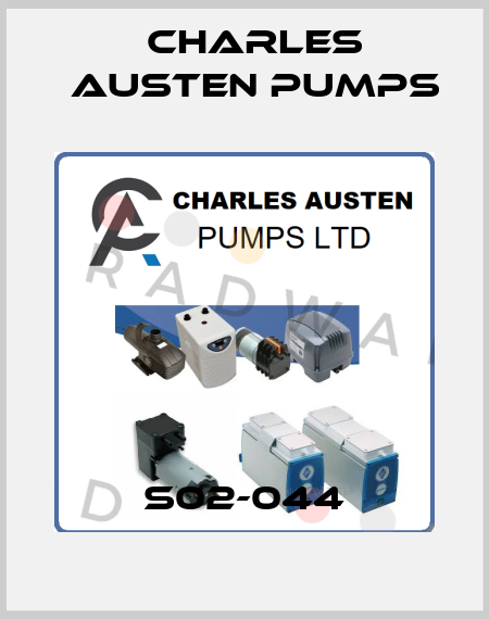 S02-044 Charles Austen Pumps