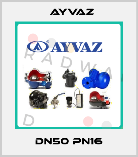 DN50 PN16 Ayvaz