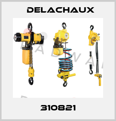 310821 Delachaux
