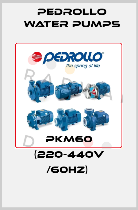 PKm60 (220-440V /60hz)  Pedrollo Water Pumps