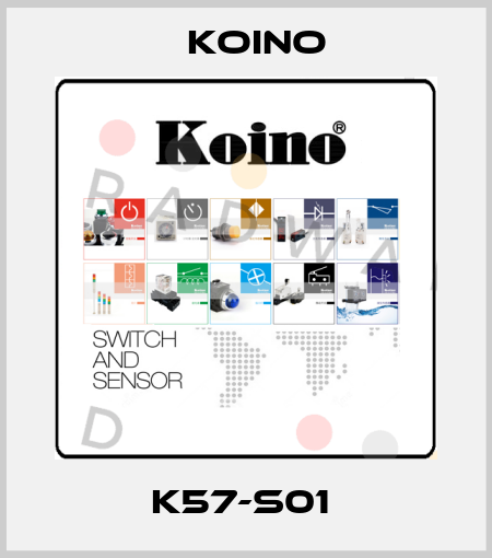 K57-S01  Koino