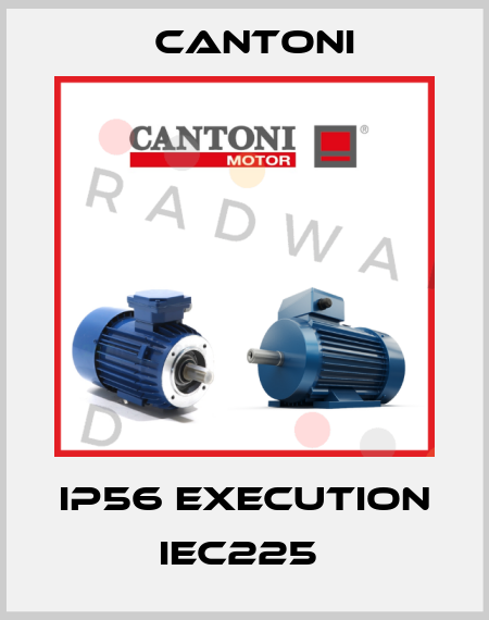 IP56 Execution IEC225  Cantoni