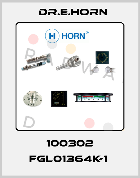 100302 FGL01364K-1  Dr.E.Horn