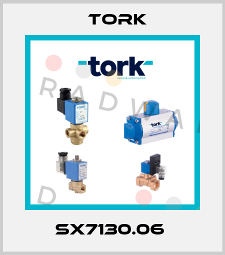 SX7130.06  Tork